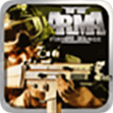 武装突袭2中文版