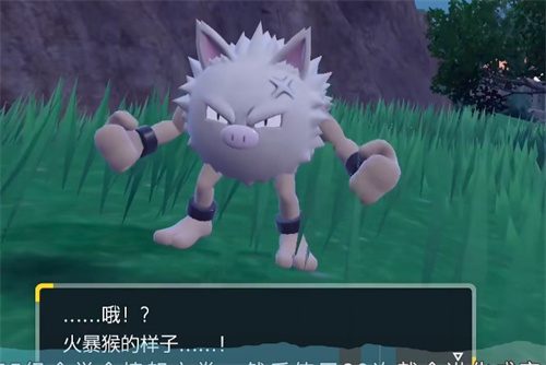 宝可梦朱紫火爆猴怎么进化 弃世猴进化条件一览