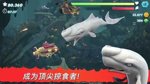 饥饿鲨进化礼包码2023永久