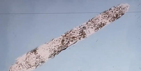 20220908114907_64334