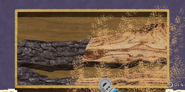 20221101114432_21977