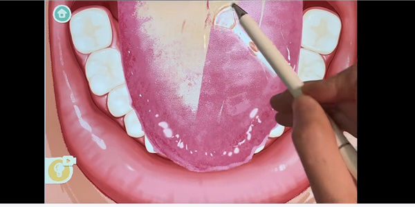 20221126154459_86805