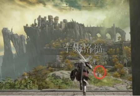 20220216112411_42556