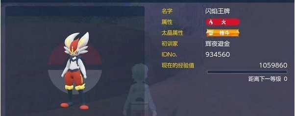 宝可梦朱紫闪焰王牌怎么打 单刷闪焰王牌攻略推荐