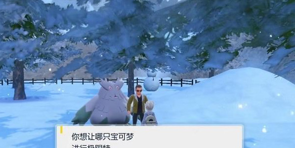 宝可梦朱紫闪焰王牌怎么打 单刷闪焰王牌攻略推荐