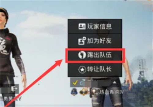 和平精英怎么踢人 踢人方法图解