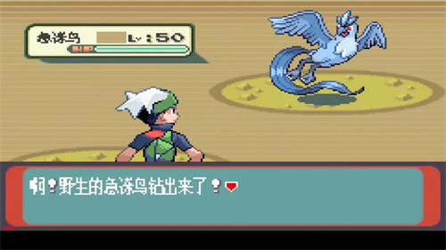010216482869489