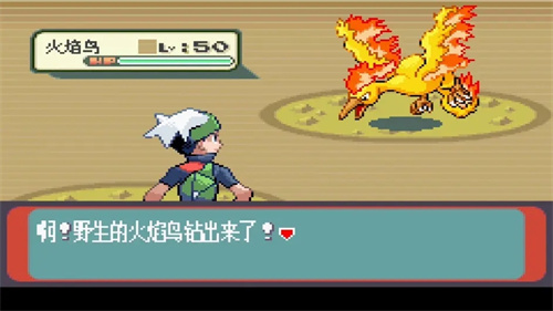 010216485137435