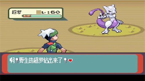 010216490453007