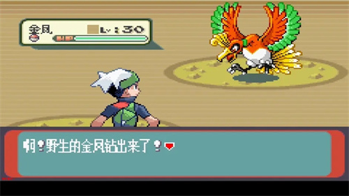 010216503924502