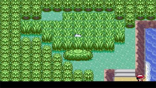 010216505676561