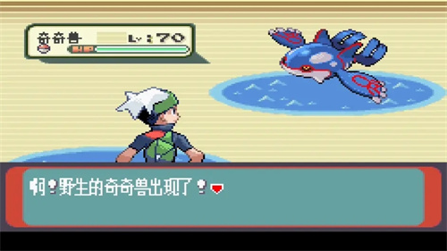010216520968231