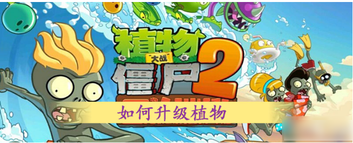 植物大战僵尸2怎么快速升级植物 怎样快速升级植物等级