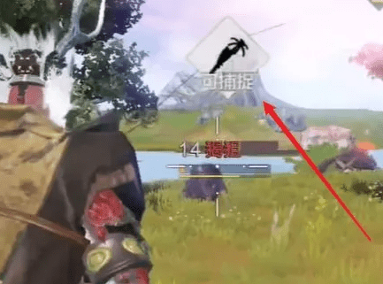 妄想山海怎么捕捉宠物