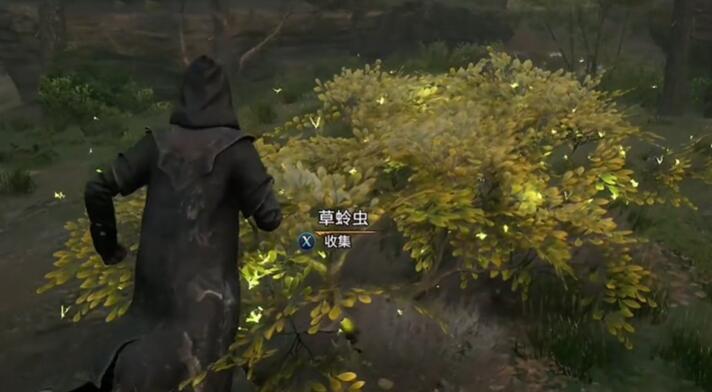 20230213180424_30196