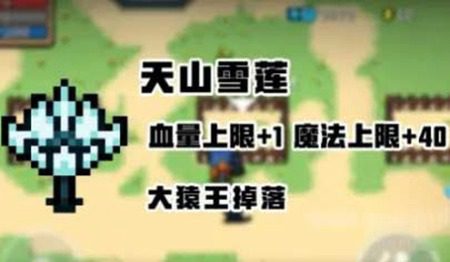 元气骑士天山雪莲的作用是什么 天山雪莲的作用与功效