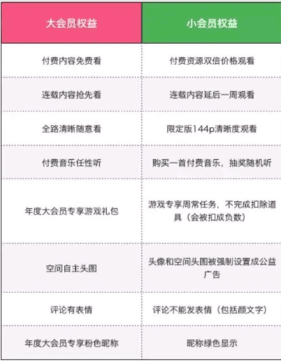 B站年度小会员是什么