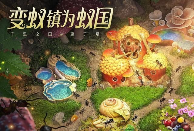 小小蚁国十大zui值得养的蚂蚁