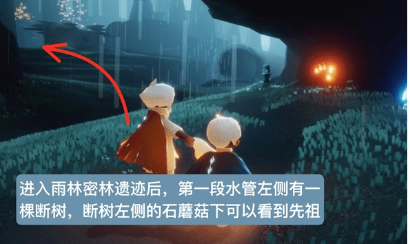 光遇雨林跪拜先祖