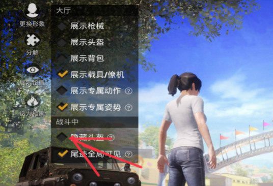 和平精英不显示头盔设置 和平精英隐藏头盔(背包)显示设置位置