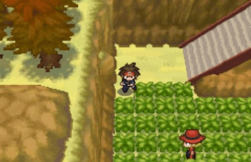 口袋妖怪心金怎么玩 口袋妖怪心金玩法攻略