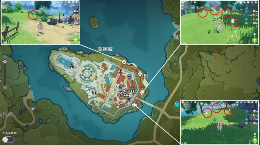 原神3.8蒲公英分布图 3.8蒲公英采集路线分享[多图]图片2