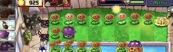 植物大战僵尸无尽模式zui佳阵容无炮流 植物大战僵尸95版(每一关图文)无尽模式zui佳阵容推荐