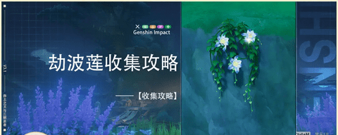 原神劫波莲快速采集路线图文攻略缩略图