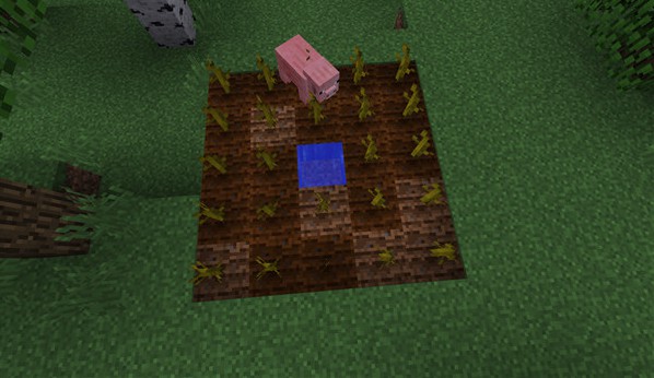202006150937071882