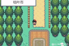 709544e216218777