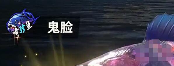 欢乐钓鱼大师稀有鱼排行榜缩略图